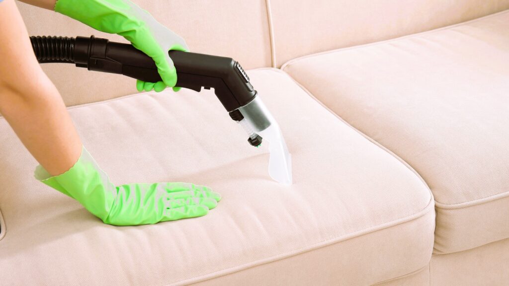 sofa cleaning