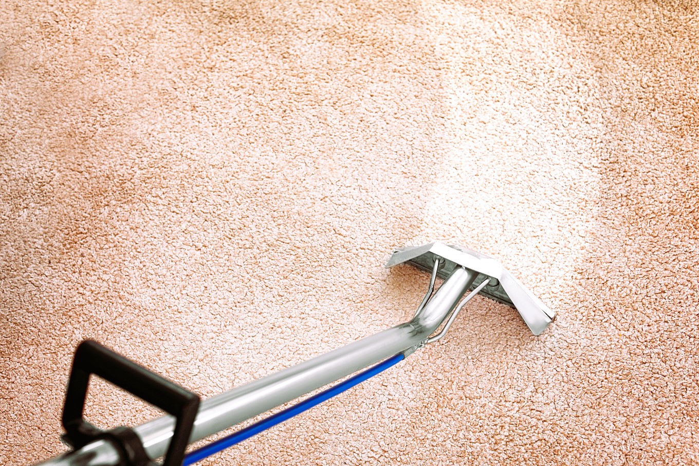 Tips for Choosing the Right Cleaning Service for Your Carpets